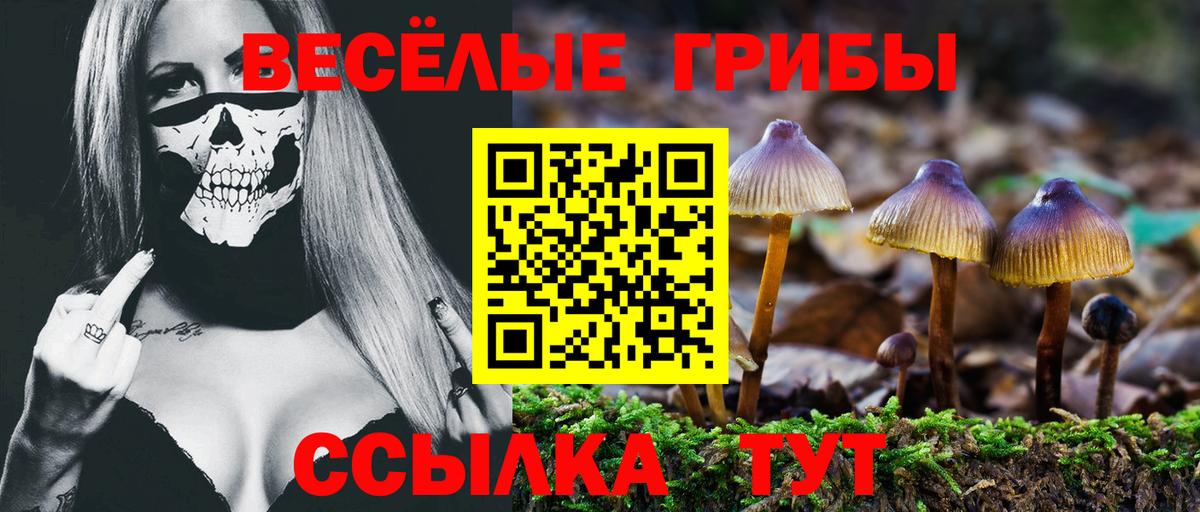 закладка  Псилоцибиновые грибы мицелий  Тверь  Вход с VPN  Псилоцибиновые грибы прущие грибы 