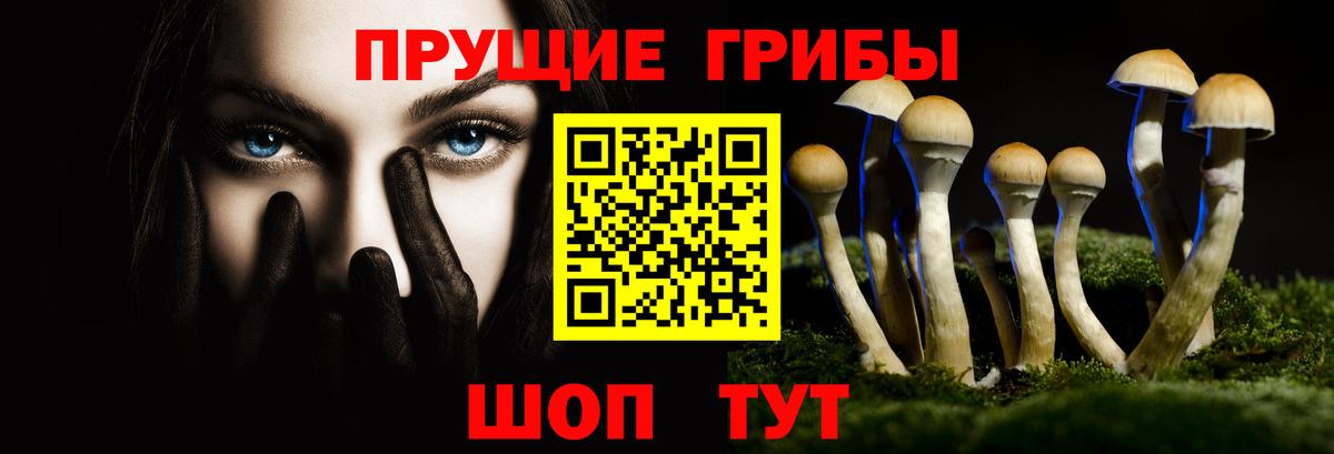 Галлюциногенные грибы мухоморы Тверь